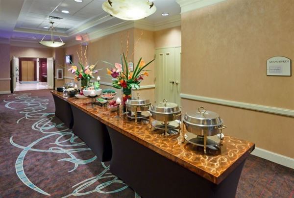 Holiday Inn Chantilly-Dulles Expo (Arpt)
