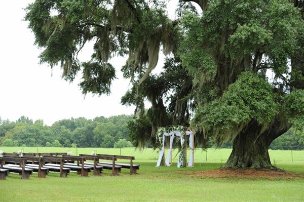 The Oaks Plantation