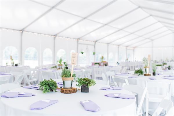 The Historic Ambassador House