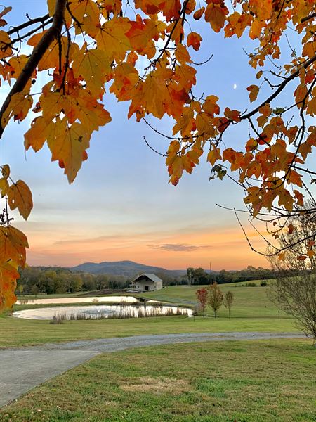 The Farm at Spring Valley