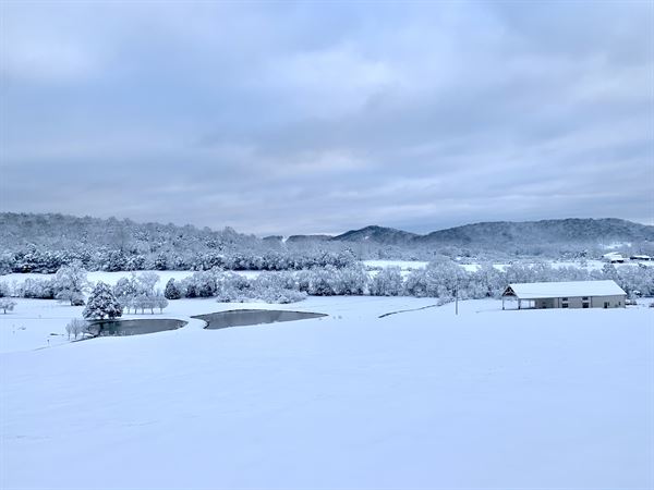 The Farm at Spring Valley