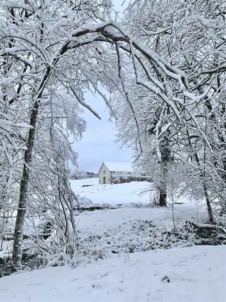 The Farm at Spring Valley