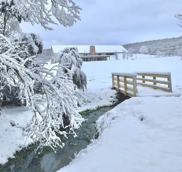 The Farm at Spring Valley