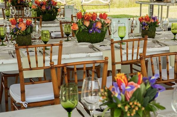 Charleston Tea Garden