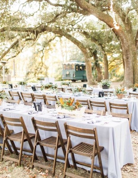 Charleston Tea Garden