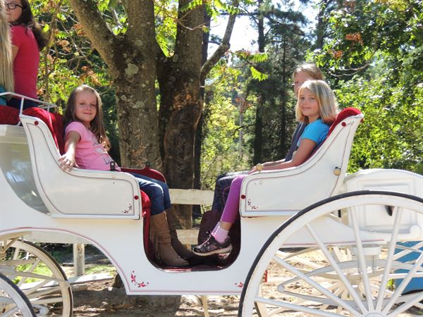 B-Bar Farm Wedding and Event Center