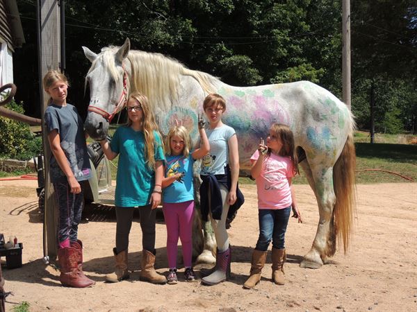 B-Bar Farm Wedding and Event Center