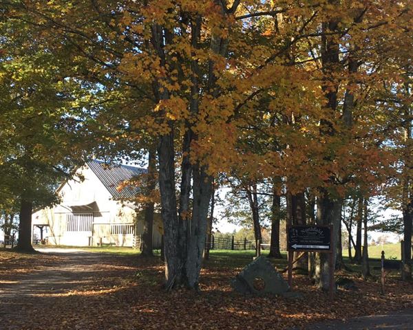 Northfield Vineyards