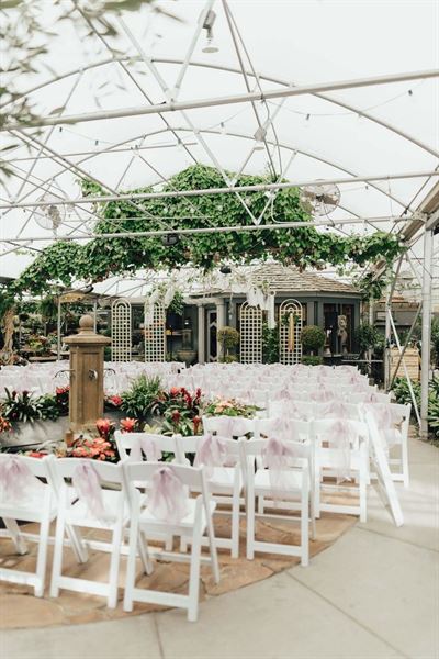 Cactus and Tropicals Salt Lake