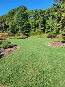 Rhododendron Discovery Garden - Ceremony Site