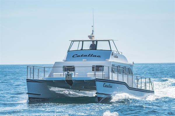 Cruise Newport Beach-Yacht Rentals