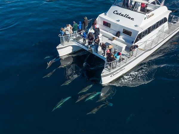 Cruise Newport Beach-Yacht Rentals