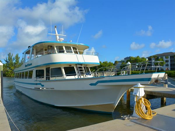 Island Princess Cruises