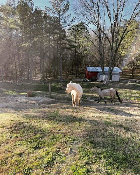 Farm at Little Fox Hollow