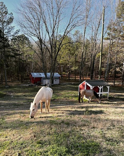 Farm at Little Fox Hollow