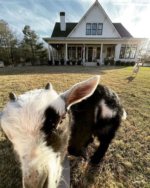 Farm at Little Fox Hollow