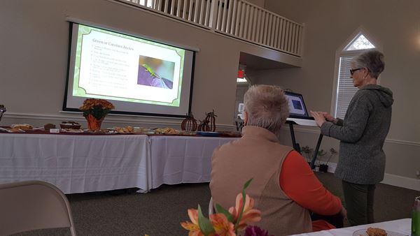 Dade City Garden Club