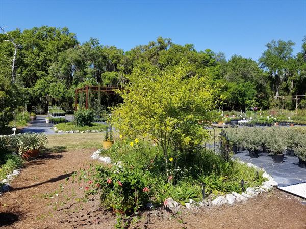 Dade City Garden Club