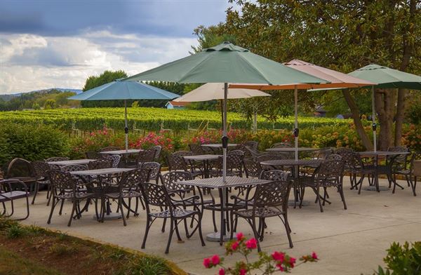 Burntshirt Vineyards