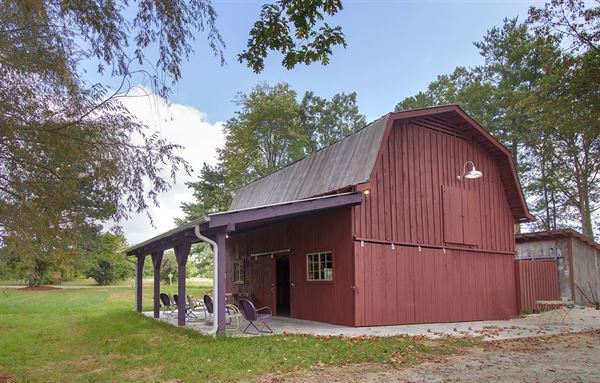 Burntshirt Vineyards