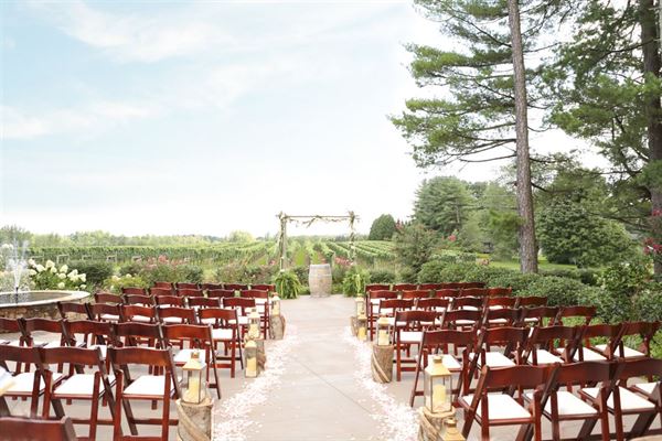 Burntshirt Vineyards