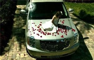 Gulf Coast Limousines