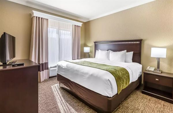 Comfort Inn & Suites Houston IAH Airport - Beltway 8