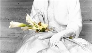 The Petal And The Stem