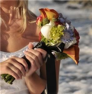 The Petal And The Stem