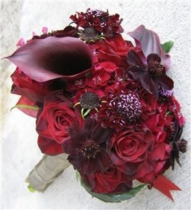 The Petal And The Stem