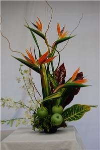 The Petal And The Stem