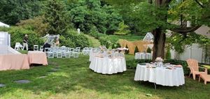 Outdoors - The Lawn and Yard and Deck