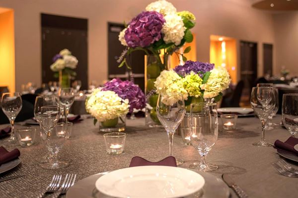 SpringHill Suites Denver Downtown