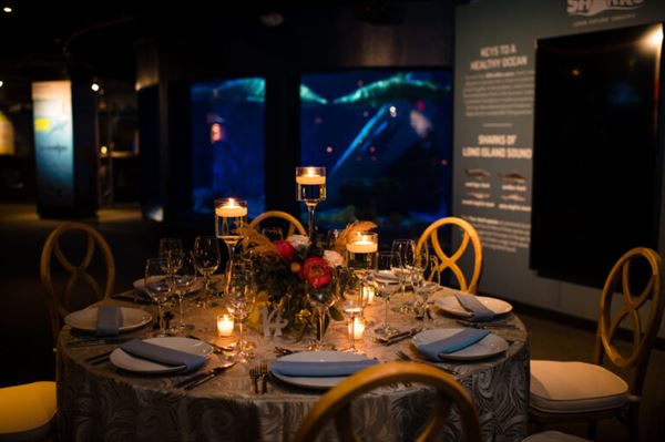 Mystic Aquarium & Institute For Exploration