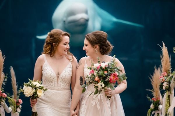 Mystic Aquarium & Institute For Exploration