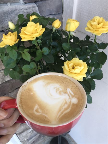 Filly Coffee Co. LLC