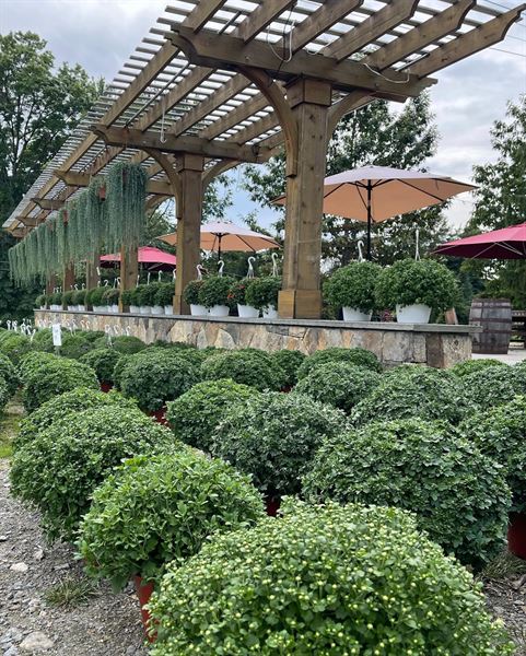 The Overlook at Harvest Moon