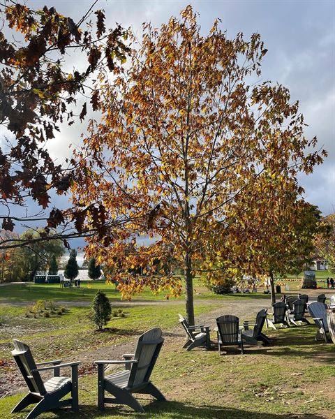 The Overlook at Harvest Moon
