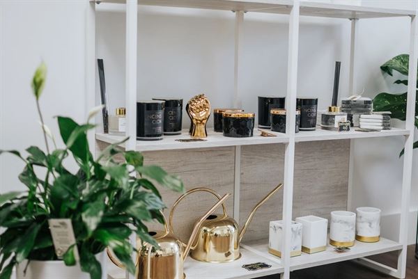 The Plant Design Studio by Wesleaf Designs & Decor