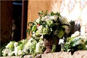 Floral Fields - Los Angeles