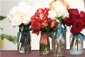 Floral Fields - Los Angeles