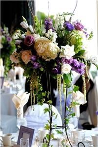 Floral Fields - Los Angeles