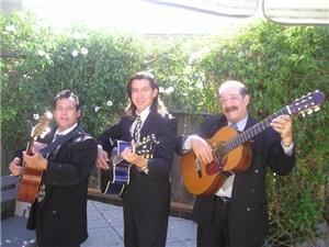 Mariachi Trio Estrellas De Oro... Mariachi Band