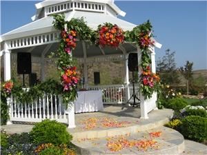 Floral Fields - Ventura County