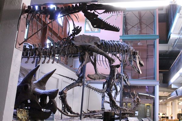 Museum Of World Treasures