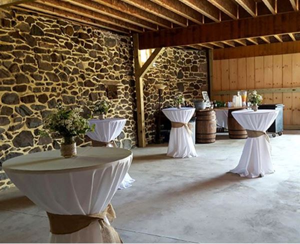 Vineyards of Mary's Meadow