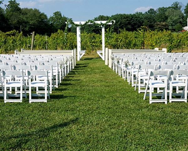 Vineyards of Mary's Meadow