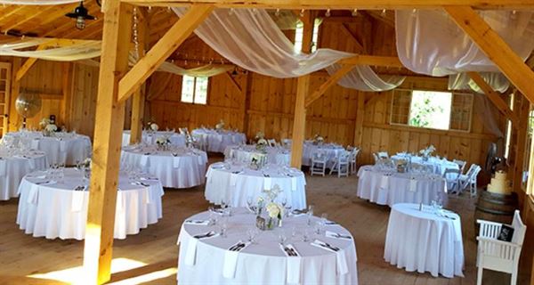 Vineyards of Mary's Meadow