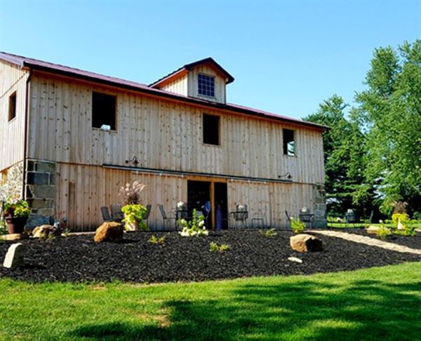 Vineyards of Mary's Meadow