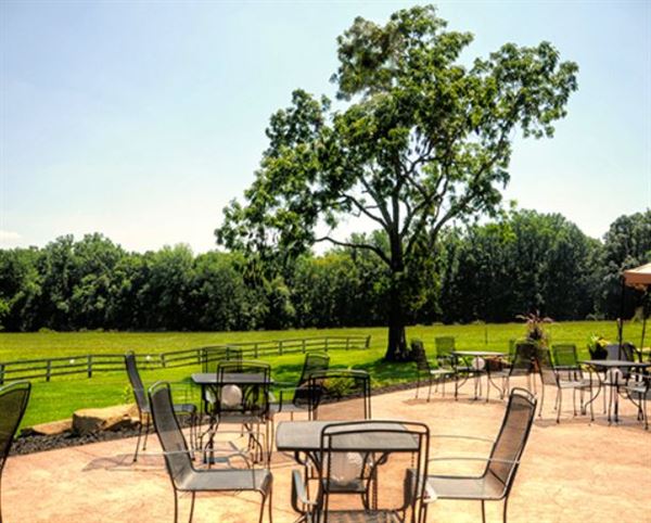 Vineyards of Mary's Meadow